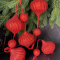 Гирлянда Праздничная 116 см., диаметр 9 см., красная, пенопласт, Christmas DeLuxe (89416) 