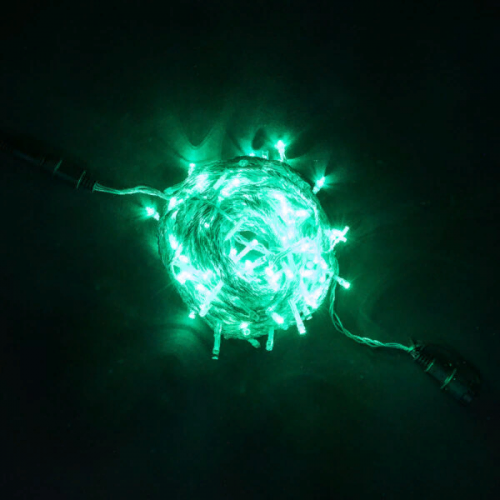 Светодиодная гирлянда с возможностью динамики 20 м., 200 зеленых LED ламп, 24V., прозрачный силиконовый провод, IP65, Beauty Led (EST200-3W10-1G)