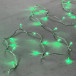 Светодиодная гирлянда с возможностью динамики 20 м., 200 зеленых LED ламп, 24V., прозрачный силиконовый провод, IP65, Beauty Led (EST200-3W10-1G)