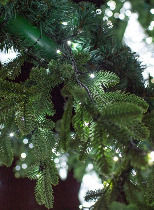 Уличная светодинамическая елка Лесная зеленая 6 м., ствольная, Литая, Green Trees (GT6LESPELED) в Санкт-Петербурге