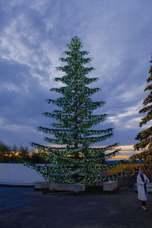 Уличная светодинамическая елка Лесная зеленая 6 м., ствольная, Литая, Green Trees (GT6LESPELED)
