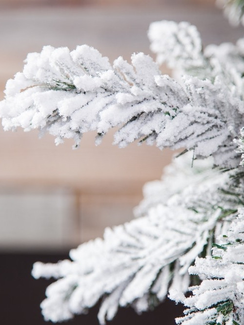 Ель Атлантида заснеженная 215 см., мягкая хвоя, Black Box (74343)