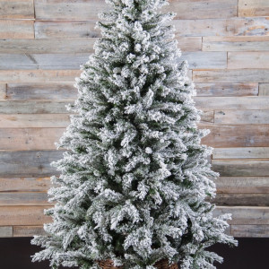 Ель Атлантида заснеженная 215 см., мягкая хвоя, Black Box (74343)