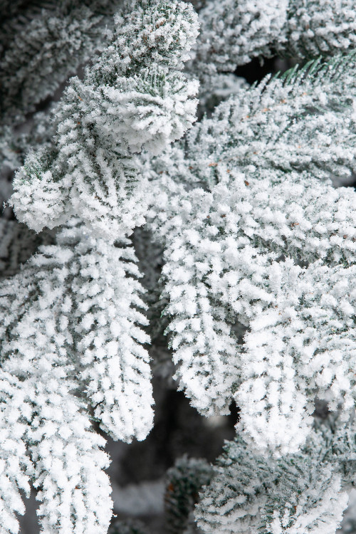 Искусственная елка Швейцарская заснеженная 180 см., 100% литая хвоя, ЕлкиТорг (110180)