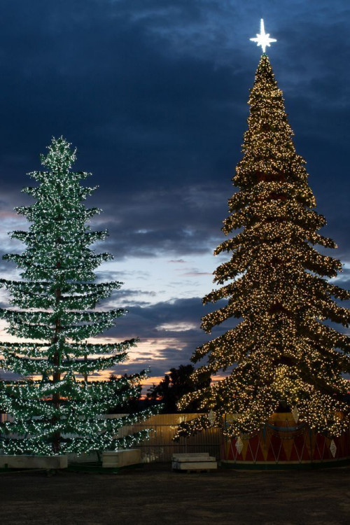 Уличная светодинамическая елка Лесная зеленая 12 м., ствольная, Литая, Green Trees (GT12LESPELED) в Санкт-Петербурге