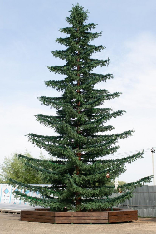 Уличная светодинамическая елка Лесная зеленая 12 м., ствольная, Литая, Green Trees (GT12LESPELED) в Санкт-Петербурге