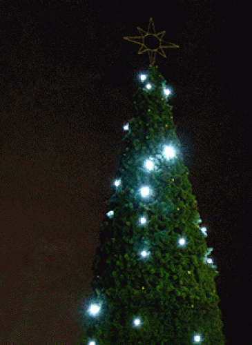 Комплект гирлянд Звездное небо для елей высотой 25 м., холодный белый, Green Trees (ZNeb25)