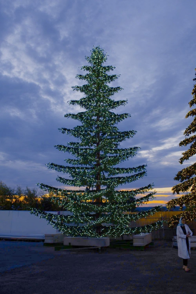 Уличная светодинамическая елка Лесная зеленая 14 м., ствольная, Литая, Green Trees (GT14LESPELED)