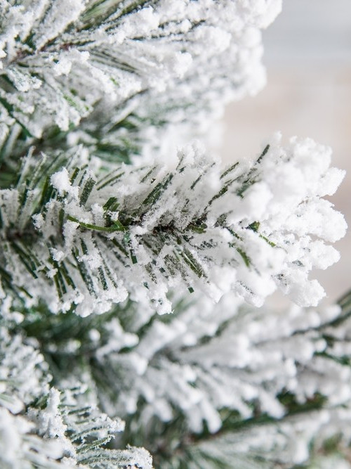 Ель Атлантида заснеженная 230 см., мягкая хвоя, Black Box (74344)