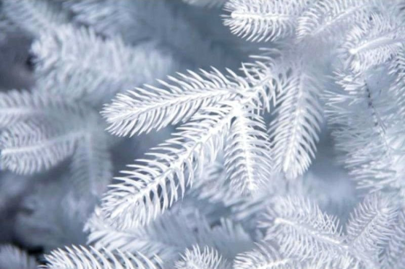 Искусственная ель Полярная белоснежная 160 см., литая хвоя+пвх Max Christmas (ЕПС16)