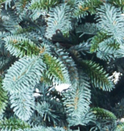 Искусственная ель Невада 220 см., ЛИТАЯ 100%, Max Christmas (ЕНЛ22)