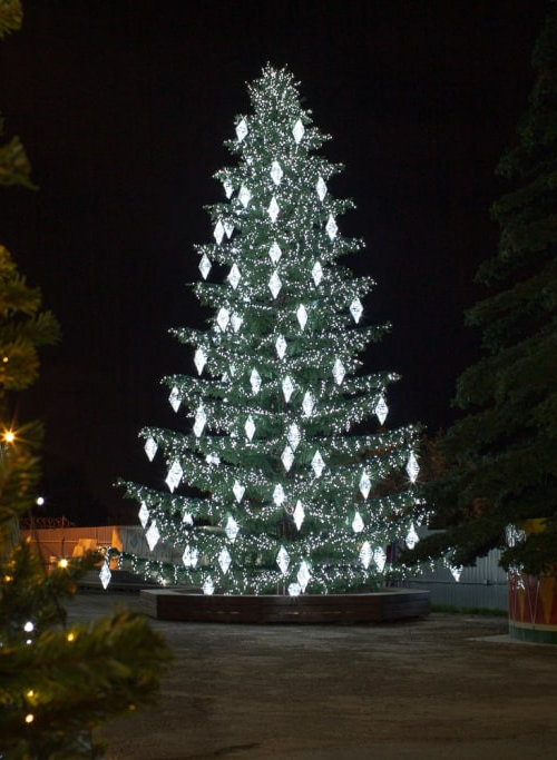 Уличная светодинамическая елка Лесная зеленая 16 м., ствольная, Литая, Green Trees (GT16LESPELED)
