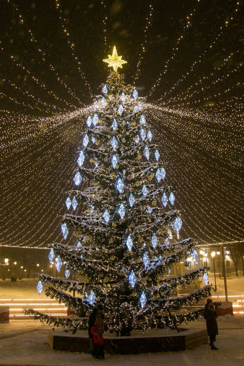 Уличная светодинамическая елка Лесная зеленая 16 м., ствольная, Литая, Green Trees (GT16LESPELED)