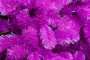 Искусственная елка Искристая 180 см., фиолетовая, мягкая хвоя, ЕлкиТорг (154180)