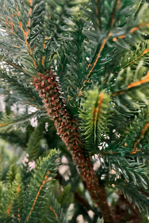 Искусственная ель Королевская стройная зеленая 185 см., 100% литая, TDL (70027)  в Санкт-Петербурге