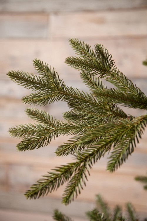 Искусственная ель Ирландская 425 см., литая хвоя+пвх, Black Box (74393) в Санкт-Петербурге